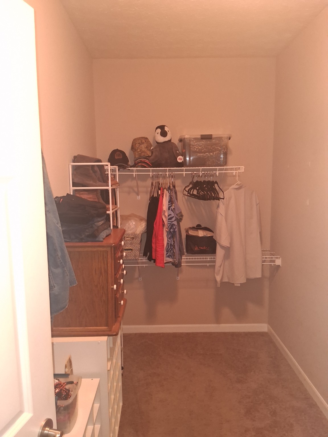 Closet before